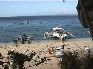 Apo Island aux Philippines