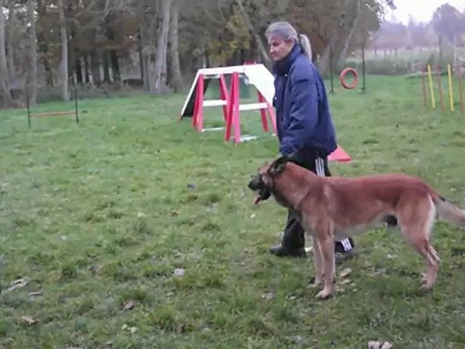 Findzy en agility