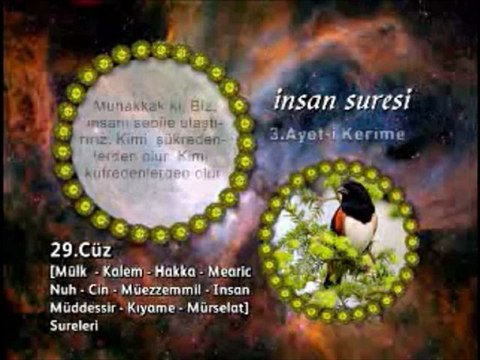 İnsan (Dehr) suresi 3. ayet-i okunuşu ve meali okyay derneği