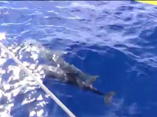 12eme jour de course - Mercredi 21 novembre