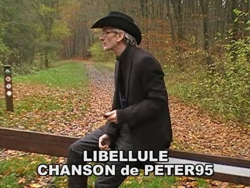PETER95 - LIBELLULE