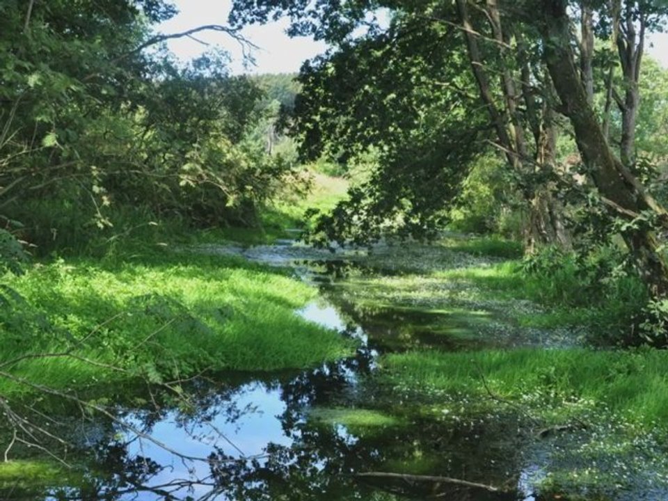 ESCAPARDENNE Eisleck TRAIL : 104 km
