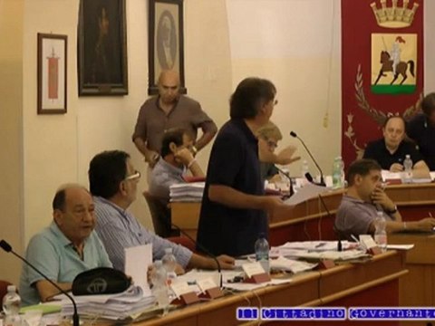 Consiglio comunale 10 agosto 2012 intervento Arboretti