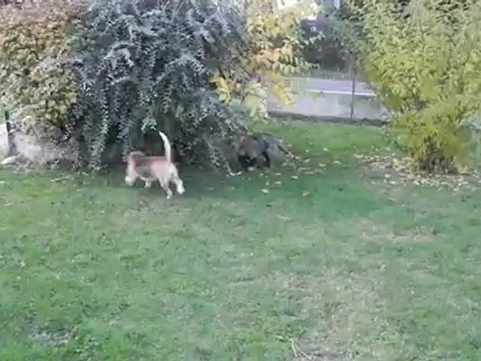 H'Ley - Vidéo n°8 - 19 novembre 2012