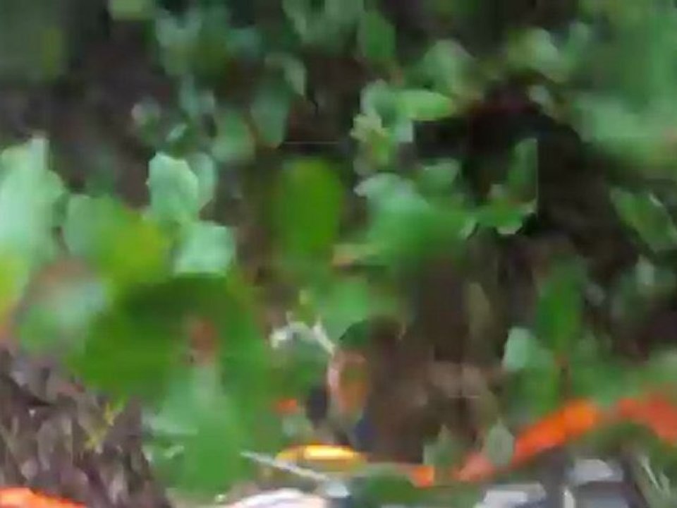 randura 4