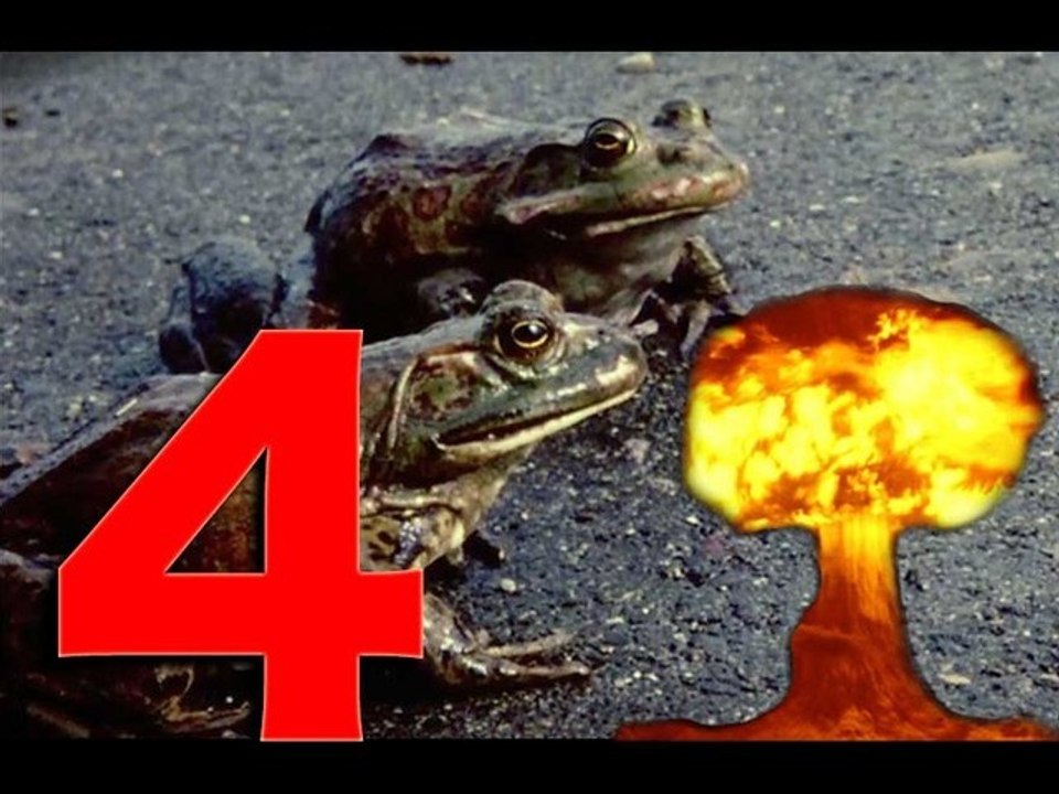 Frog Crossing 4Secs