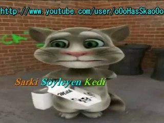 Tiridine Bandım Türküsünü Söyleyen Komik Kedi