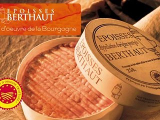 La Bourgogne dans toute sa splendeur