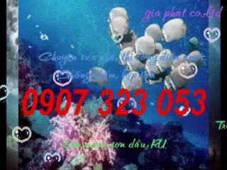 Cty sửa nhà,sơn nước rẻ tại quận 1,2 hcm call 0936 890 585