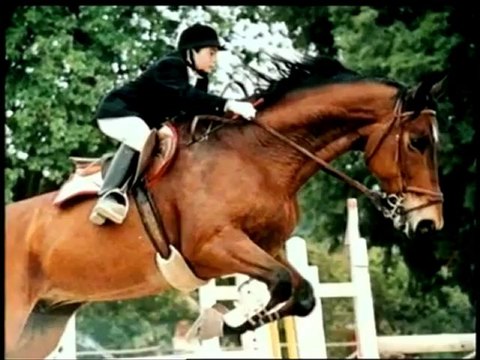 Ruoppolo Teleacras - Di Matteo, il cerchio è chiuso