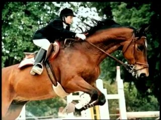 Ruoppolo Teleacras - Di Matteo, il cerchio è chiuso