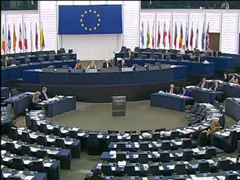 Annemie Neyts-Uyttebroeck on Situation in #Gaza