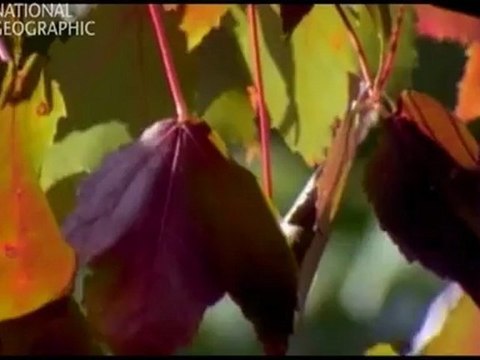 Bilimin ta Kendisi Dunyanin Dogusu