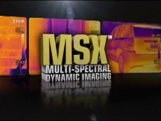 FLIR T420 MSX Multi Spectral Dynamic Imaging