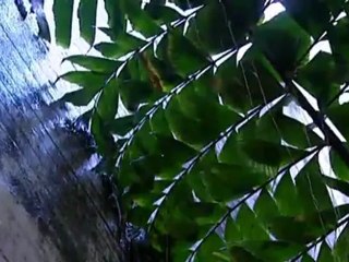 Wohnen in einer Stadtvilla auf Teneriffa | Euromaxx