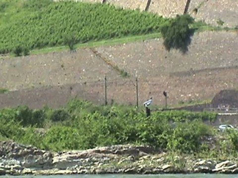 Züge, Schiffe und Burgen bei Bingen, Bingerbrück und Rüdesheim