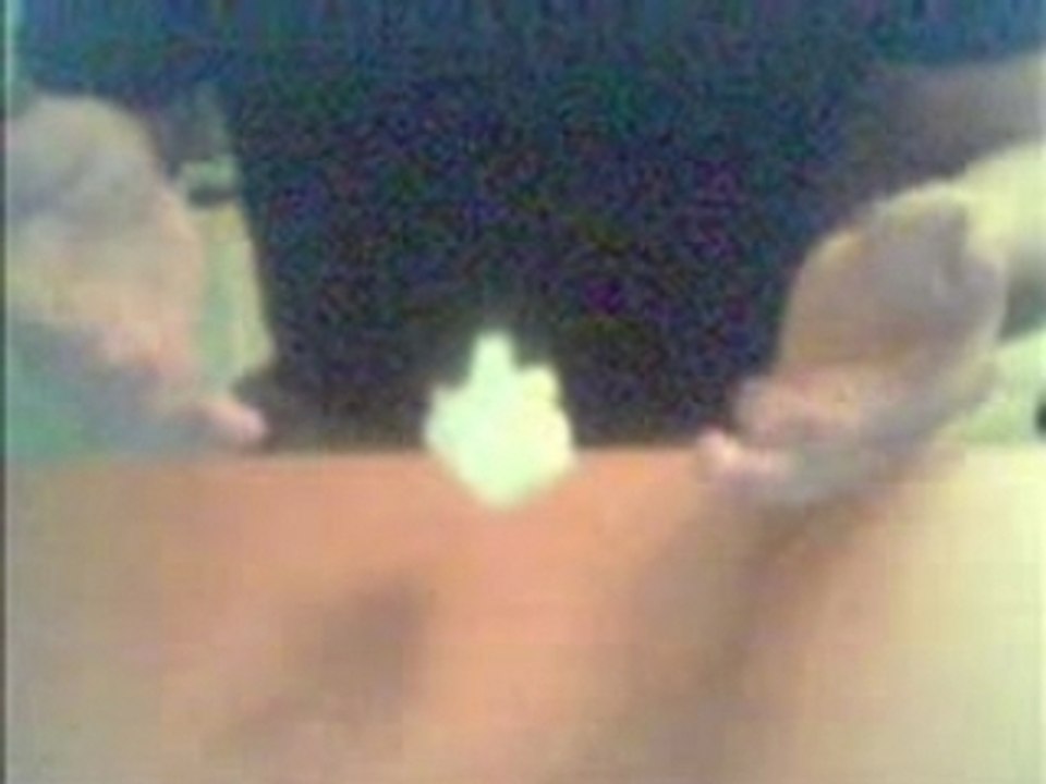 telekinesie - levitation