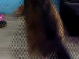 Hakéla dans son lit et jeux avec Finook