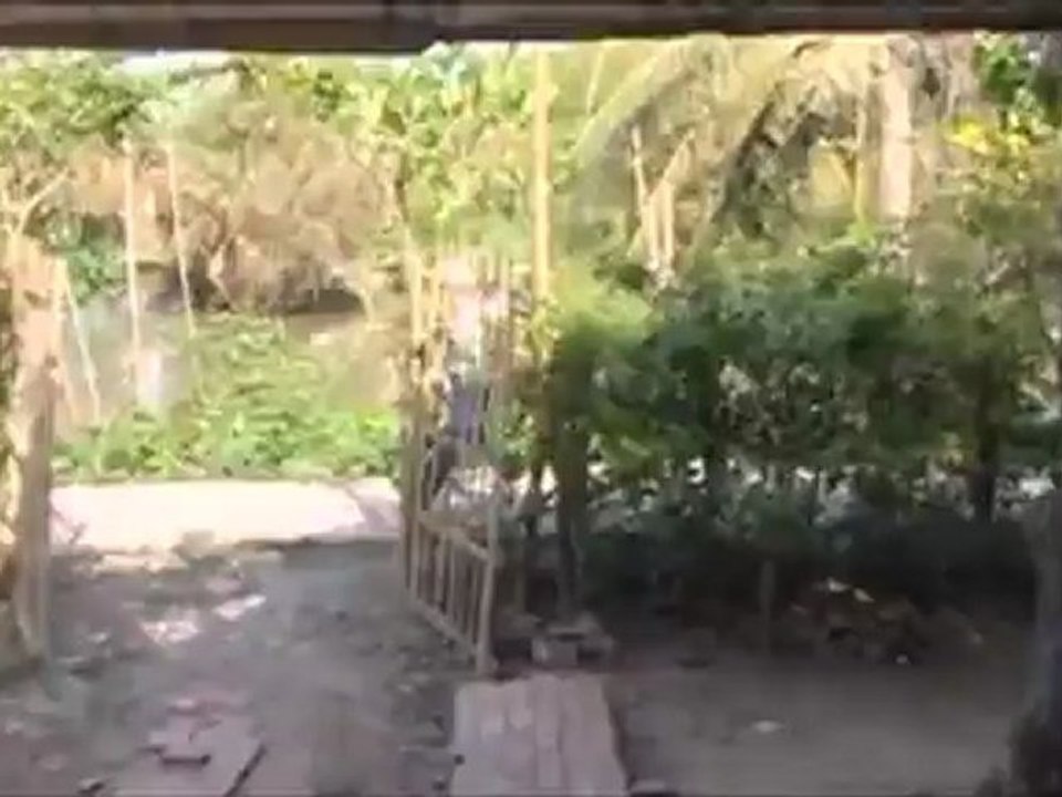 Viethamvui.us H4nhPMu0nM4n9_4