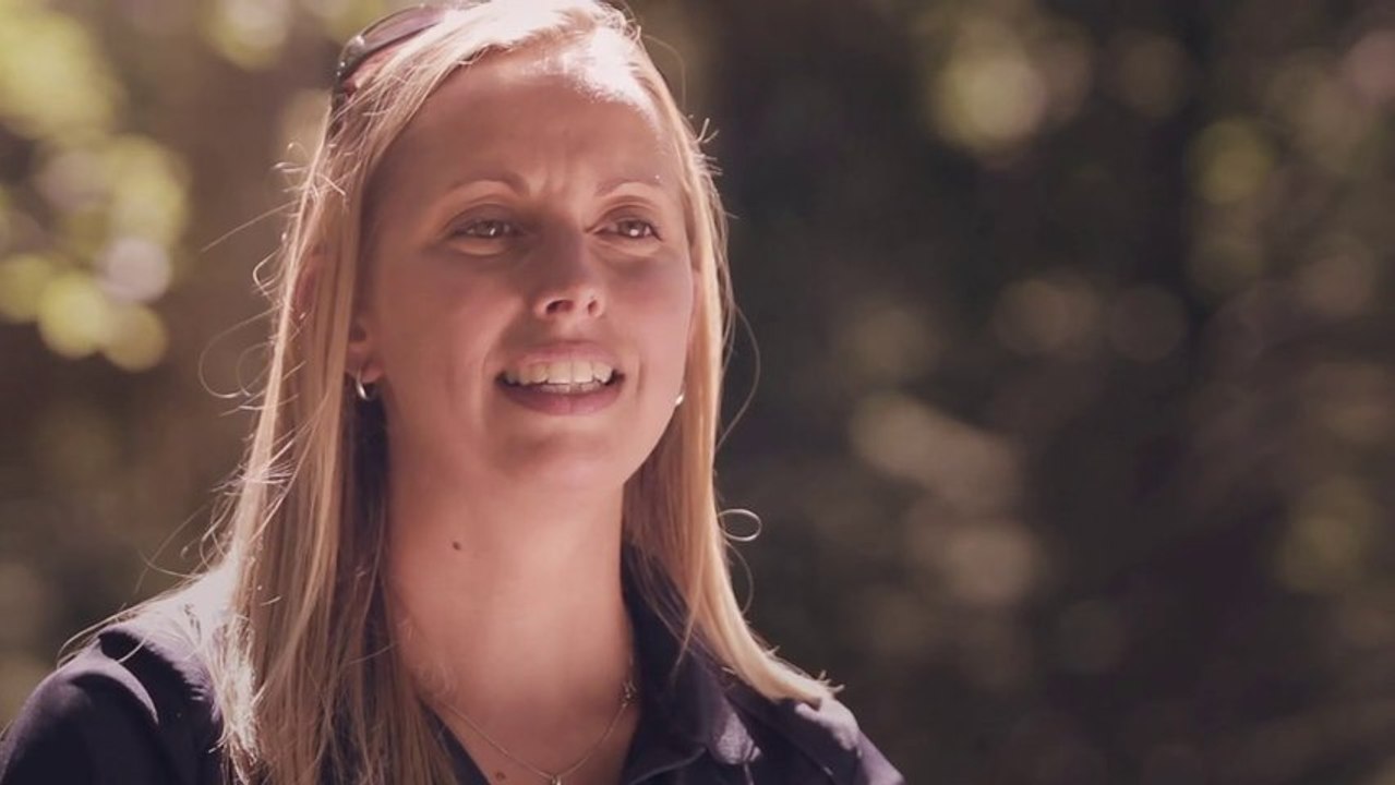 Ingénieure forestière - planification forestière et consultation