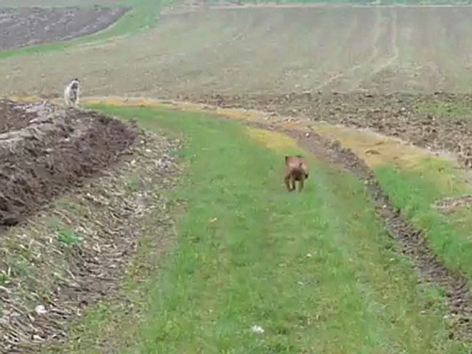 HK et Ginza 221112 3