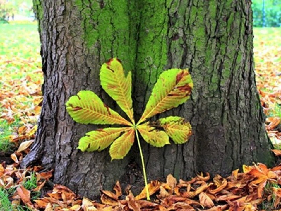 Radiointerview 2 zahnarztangst