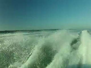 Fred Pierre Sam ïle Oiseau Ferret Banc