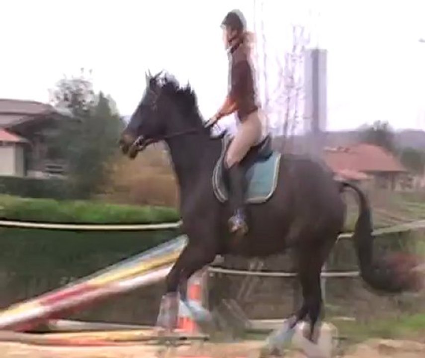Zouzou1