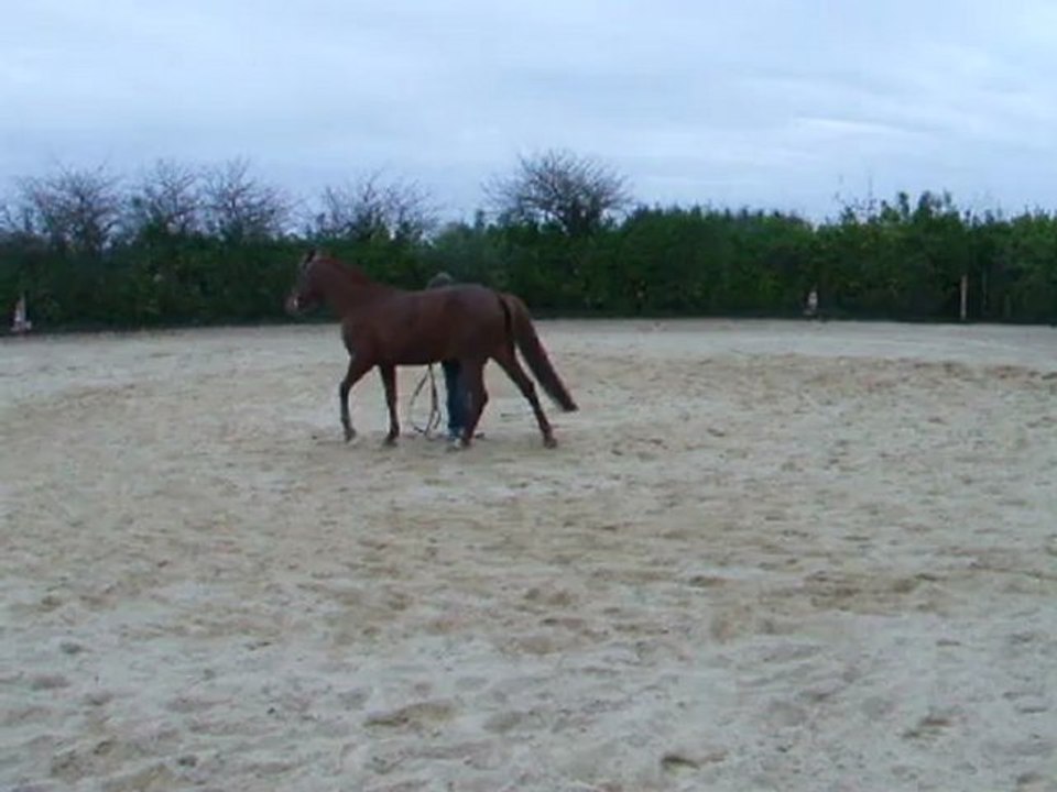 Longe 25.11.2012