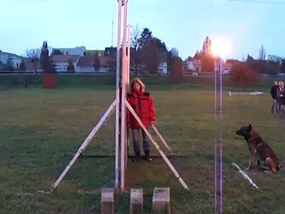 Cisco saut palissade concours Ring 2 St Julien 2012.24.11