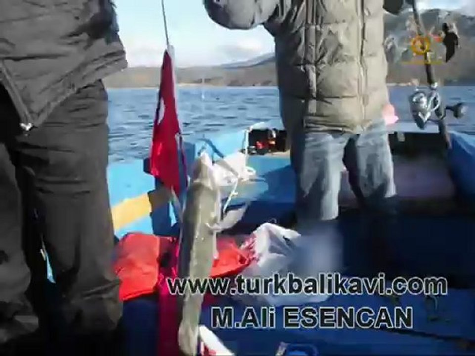 www.turkbalikavi.com & 25.11.2012 Tekne'den Balık Avı