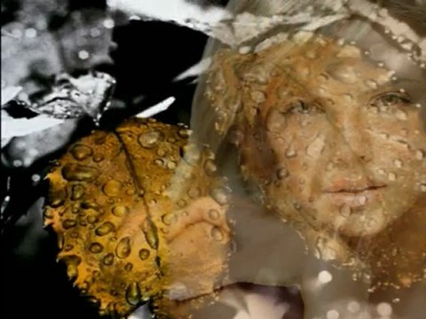 Üvercinka-Bir Cemal Süreya Şiiri