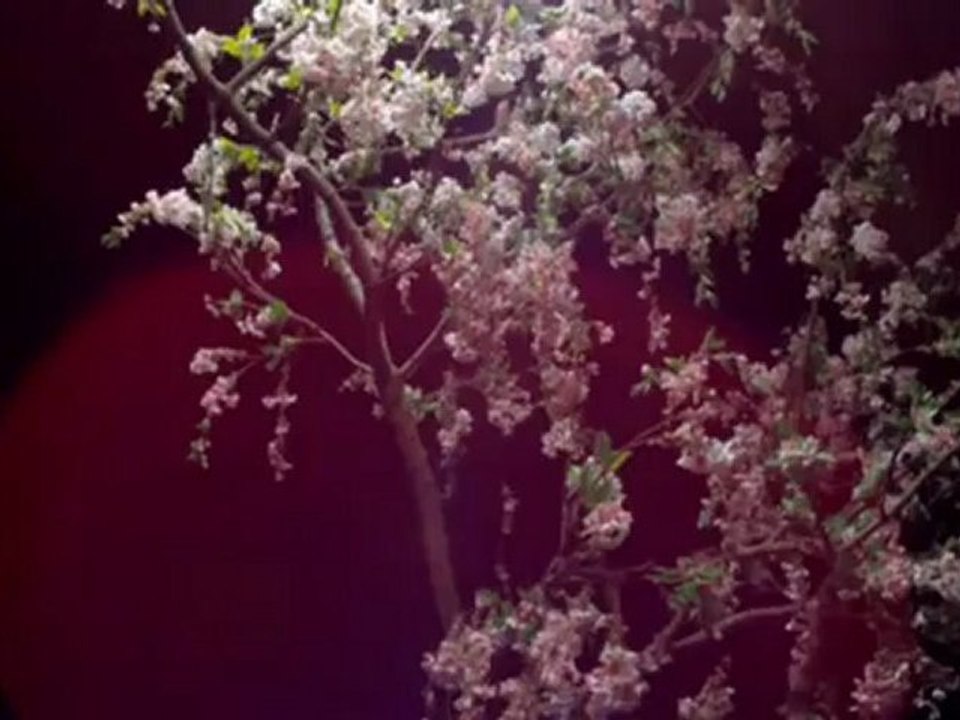 Foals - This Orient