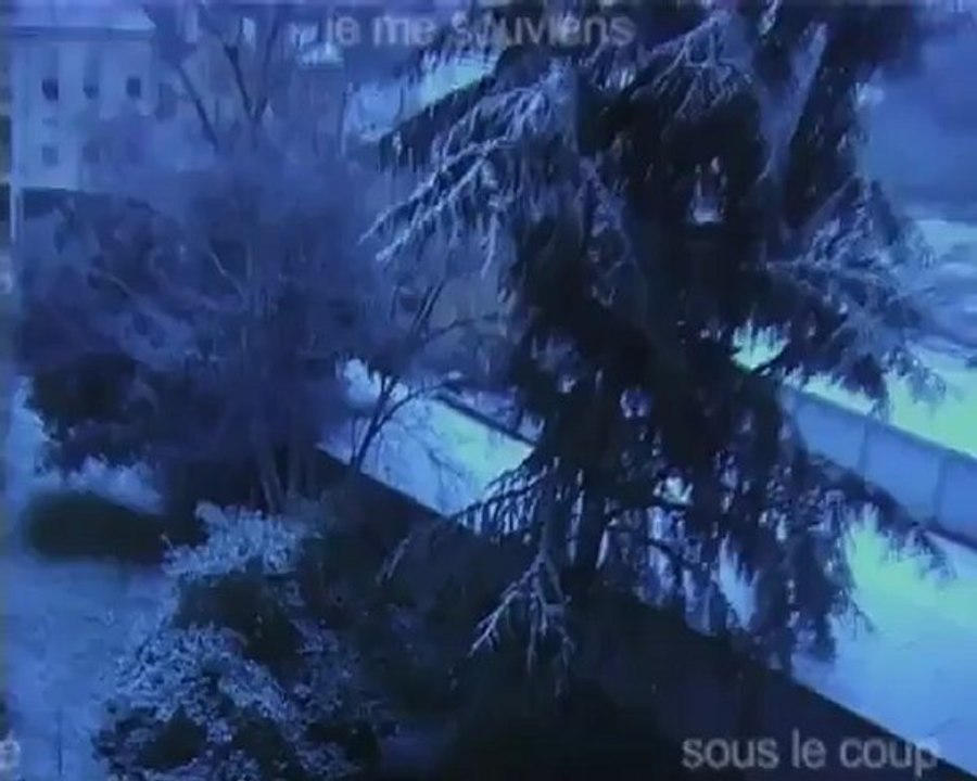 Ex Video
