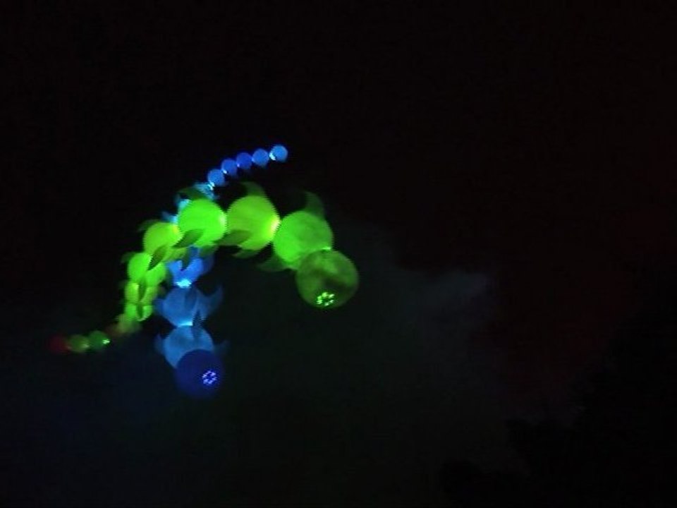 Dragon Aerosculpture