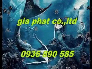 Sửa nhà,sơn nước giá rẻ tại quận 3,4 hcm call 0936 890 585
