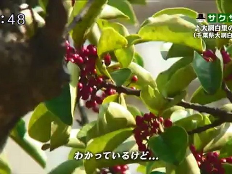 saku saku (20121123-0730 ｔｖｋ)-03