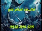 Sửa nhà,sơn nước giá rẻ tại quận 3,4 hcm call 0936 890 585