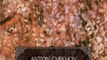 Literature Book Review: The Cherry Orchard (New Edition, Navigation TOC, Annotation Cast Tables) by Anton Chekhov