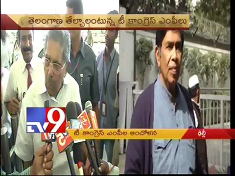 Congress MPs suspended Lok Sabha on Telangana