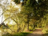 pont rean  au naturel un dimanche d'automne par colniegian