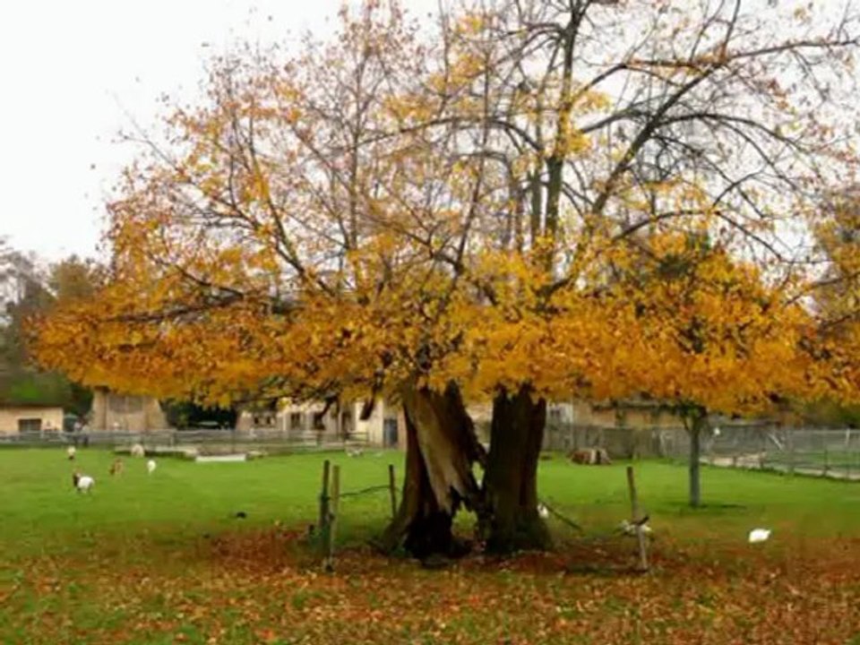 Le domaine de Marie-Antoinette