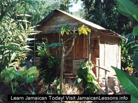 Jamaican Patois Words