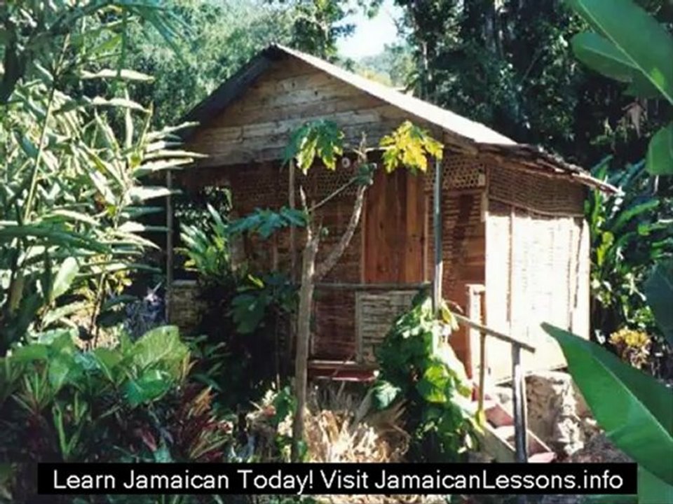 Jamaican Patois Words