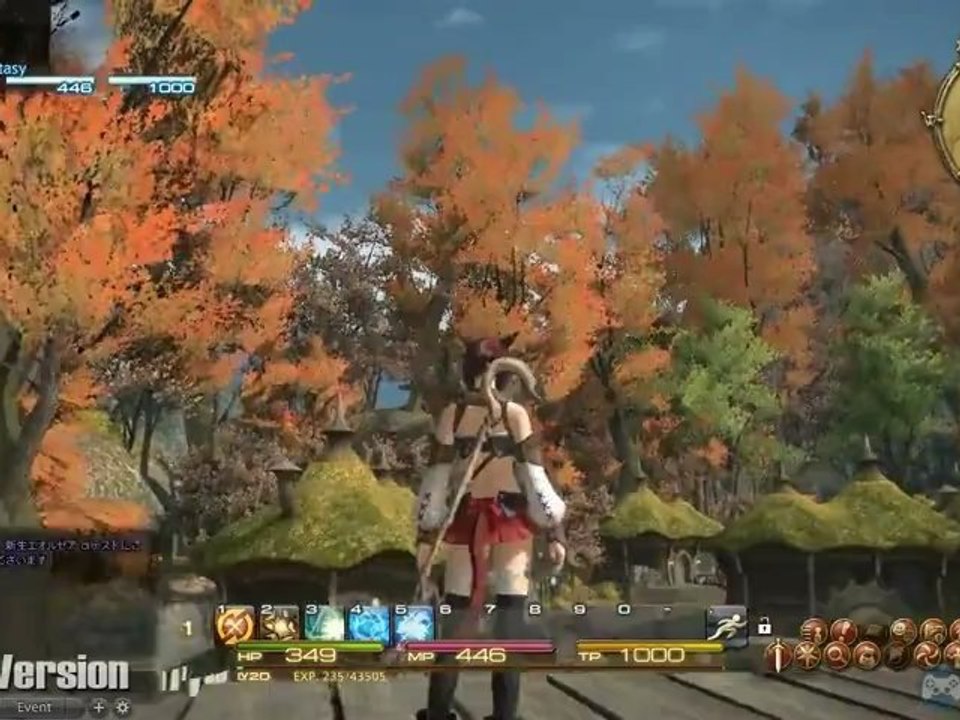 Final Fantasy XIV : A Realm Reborn - The Black Shroud