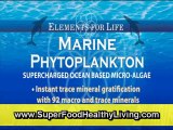 David Wolfe Marine Phytoplankton (Organic Super Foods)