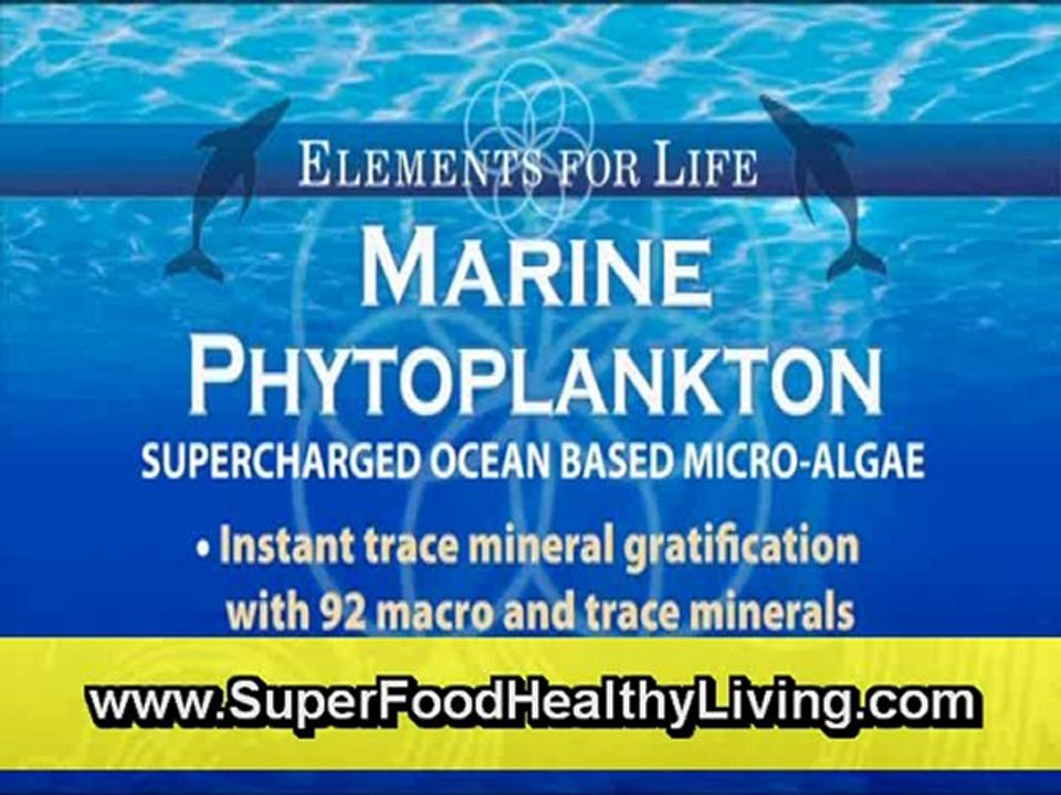 David Wolfe Marine Phytoplankton (Organic Super Foods)