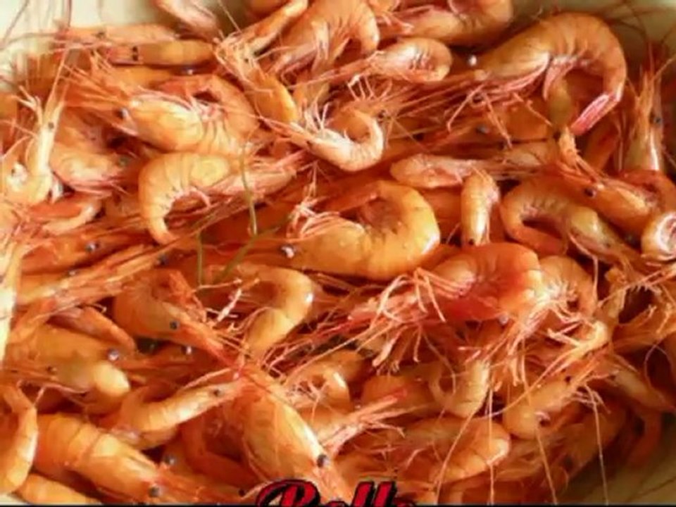 septembre 2011 avec les petits-enfants....