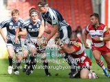Rugby Zebre vs Cardiff Blues 25 Nov
