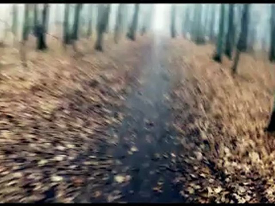 Medium "Nieme kino"